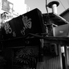 横浜野毛・素描。