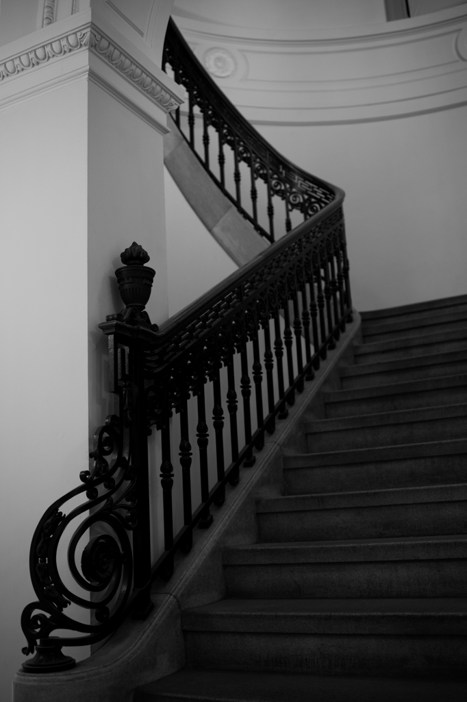 DSC_0871