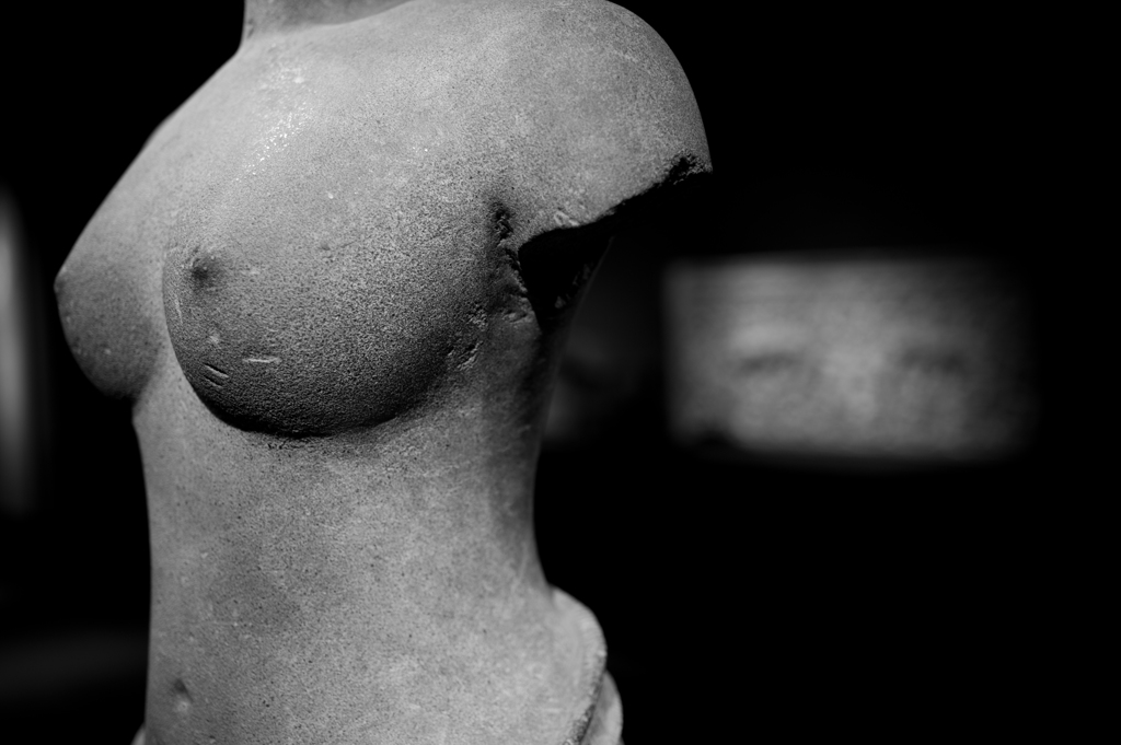 DSC_2040