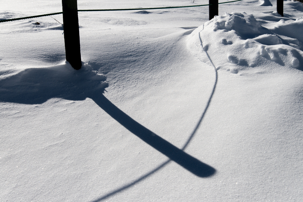 雪上の影