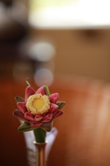 Shiem Reap Raffles Grand Hotel d'Angkor