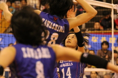 V League