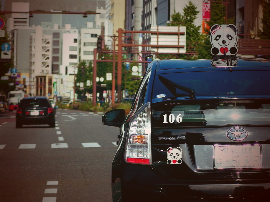 Panda