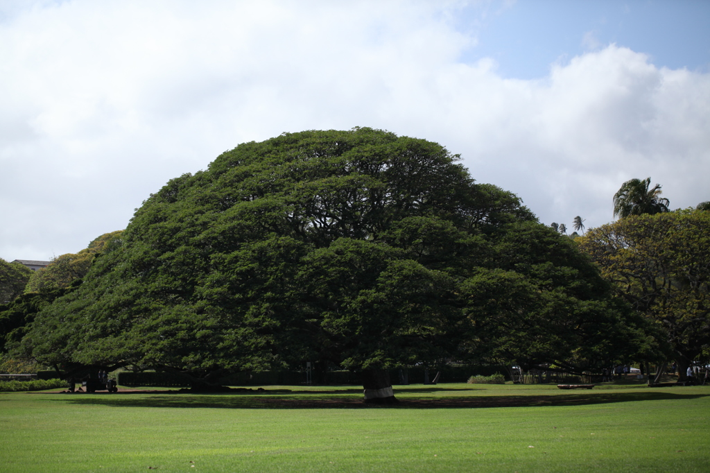 Honolulu