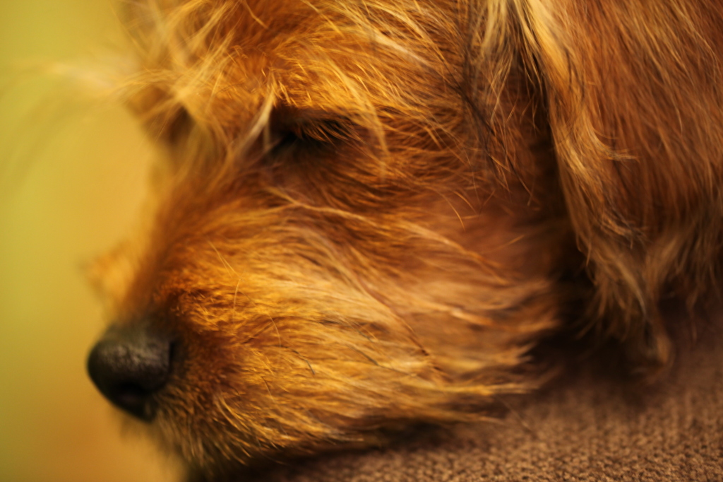 sleepy
