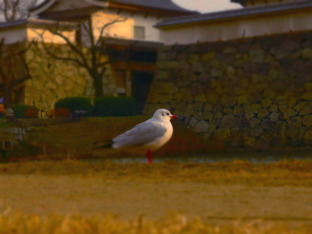 It stands still