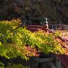 秋の神橋。