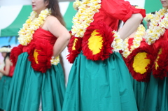 Hula Girls