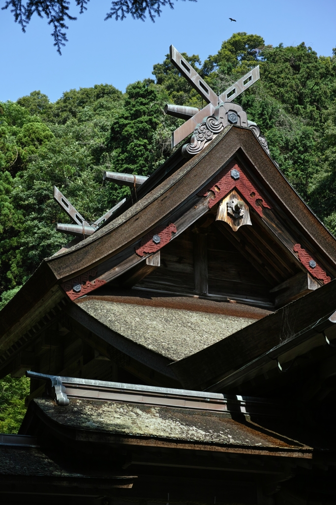 島根巡拝 19（美保神社）