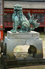 広島横断 05（厳島神社／狛犬）