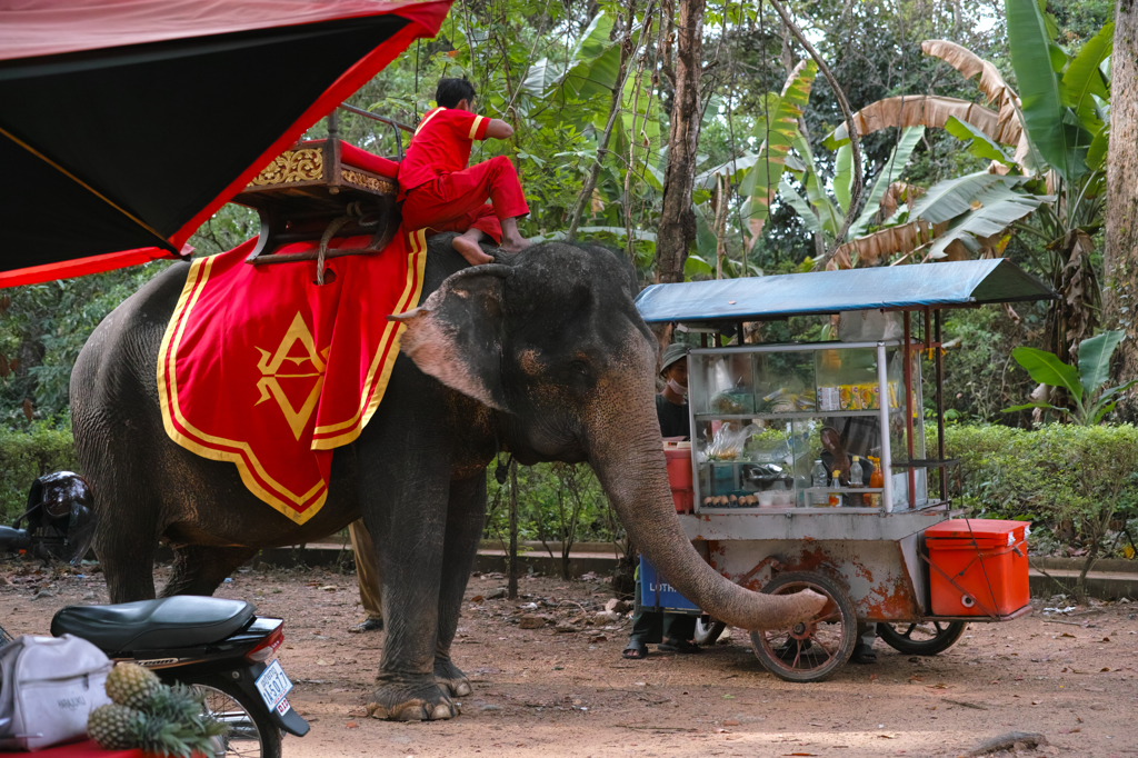 Cambodia 2／10