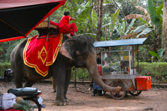 Cambodia 2／10