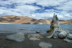 Ladakh 15／15(Pangong Tso)