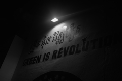 colorless