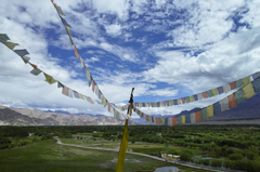 Ladakh 5／15(Shey Gompa)