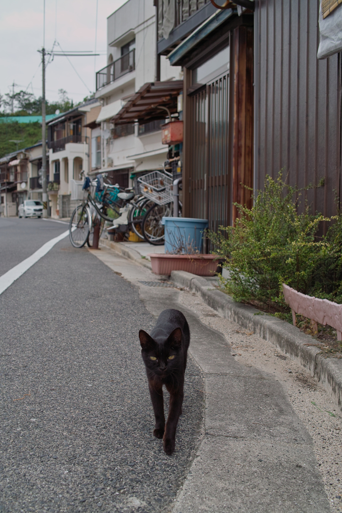 201709-しまなみ・ゆめしま 3