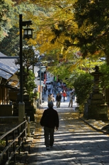 秋の高尾山、麓スナップ