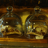 LECURIO 06