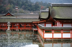 広島横断 08（満潮の厳島神社）