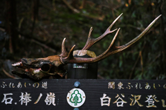 Welcome back to "NATURE"