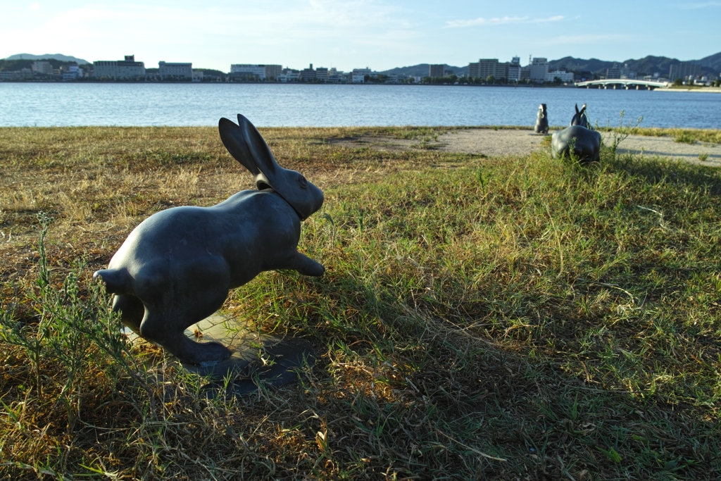 島根巡拝 35（宍道湖うさぎ）