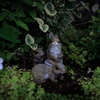 the hidden rabits