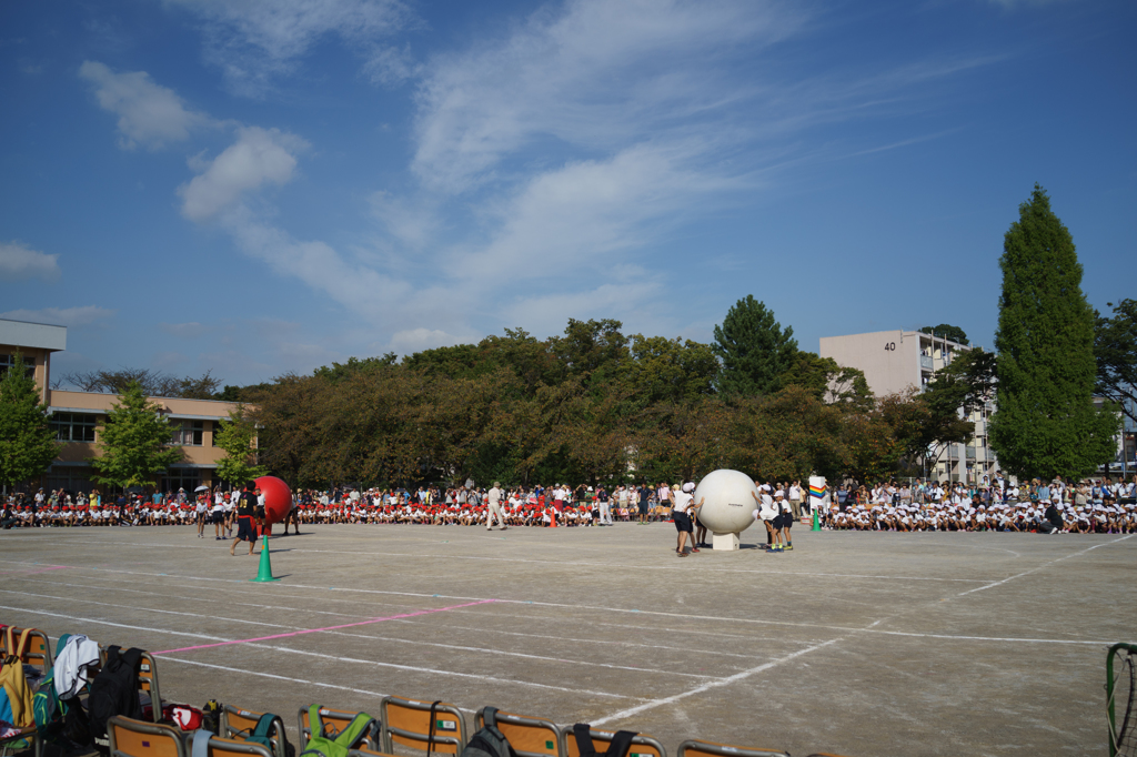 秋晴れの祭
