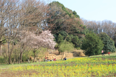週末