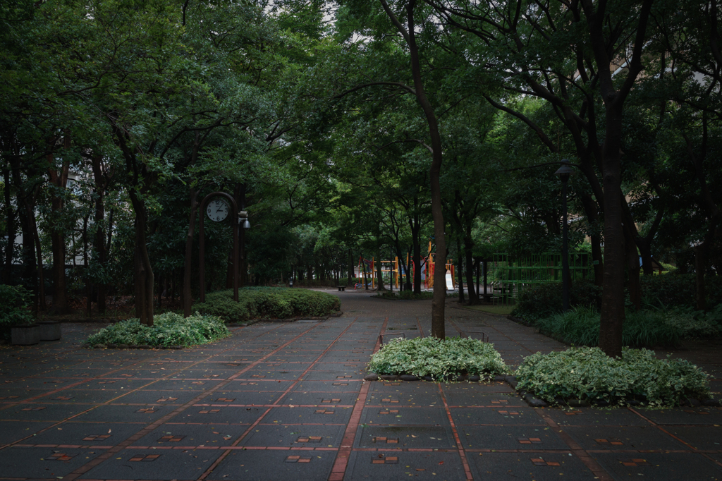 台風の通る都会の公園