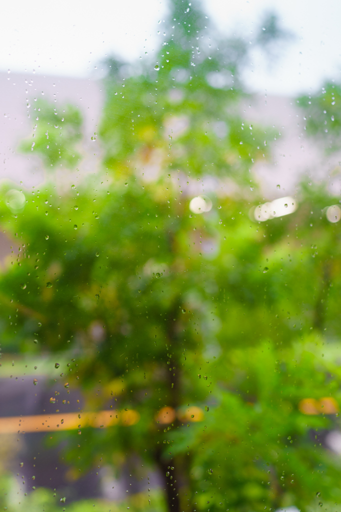 台風下の窓越しの景色