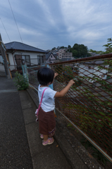怪しい雲行き