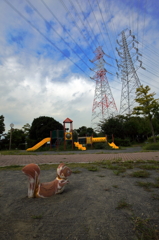 見守る秋空
