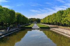 初秋の昭和記念公園