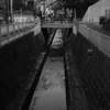 元旦