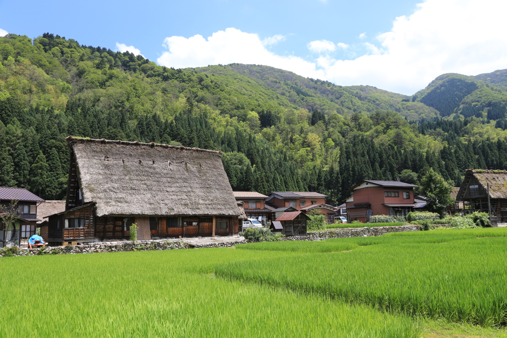 白川郷の夏