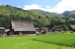 白川郷の夏