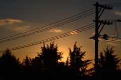 DSC_0050