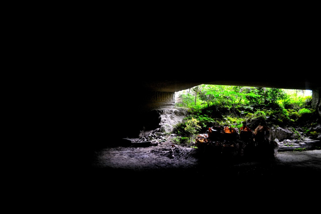 DSC_1196