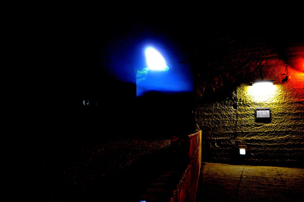 DSC_1185