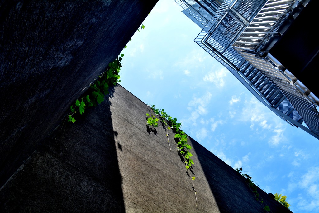 DSC_0459