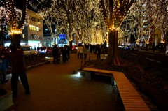 DSC_0046