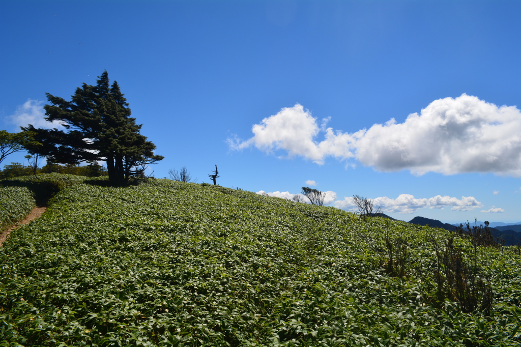DSC_1192