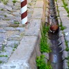 通り道