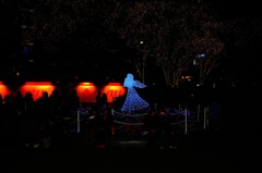 DSC_0084