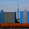 DSC_0954
