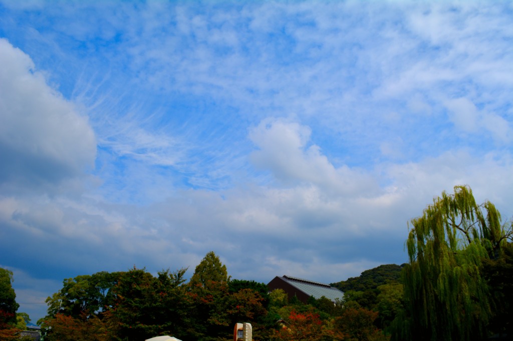 DSC_1265