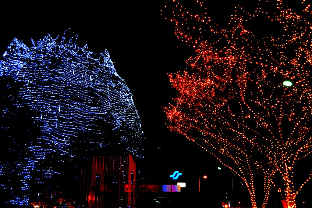 DSC_0069