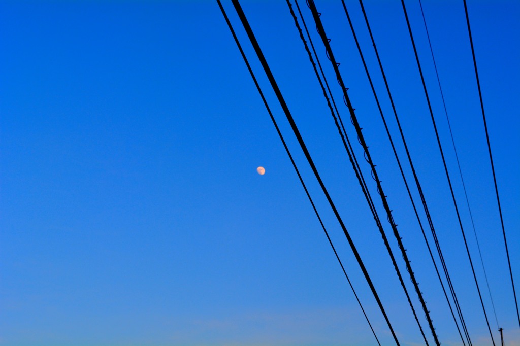 DSC_0038