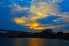 DSC_1236