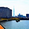 スカイツリーを臨む